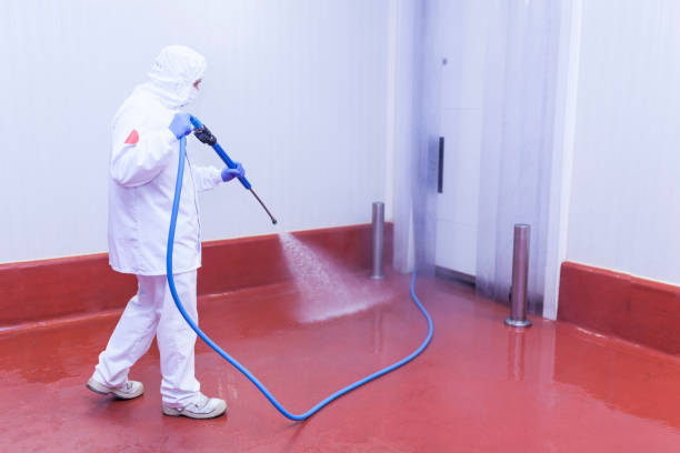 Best Pool Deck Cleaning  in Camden, NJ